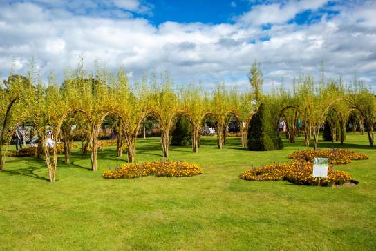 Bangor Castle Walled Garden
