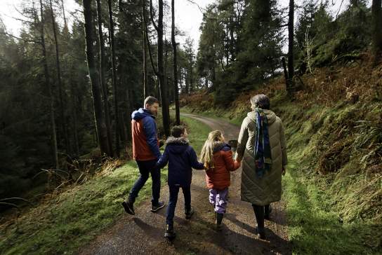 Davagh Forest - OM Dark Sky Park Landscape Experience
