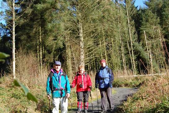 Gortin Forest Ladies View