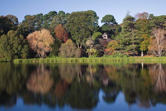 Mount Stewart Lake Walk