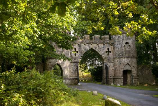 Tollymore Forest Park