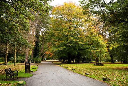 Ormeau Park