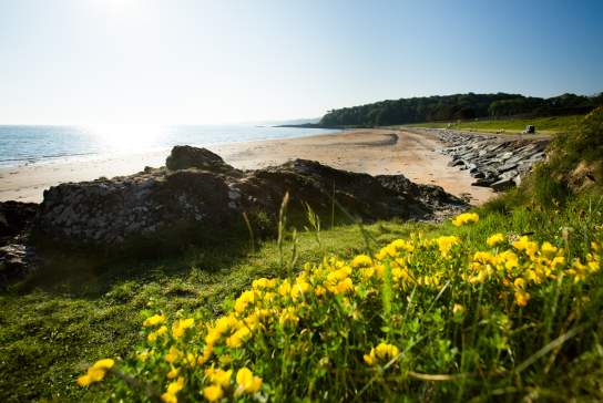 North Down Coastal Path