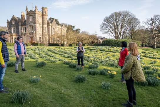 Journey into Stillness