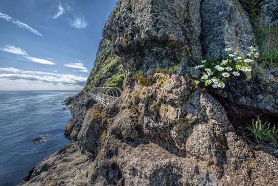 The Gobbins Cliff Path