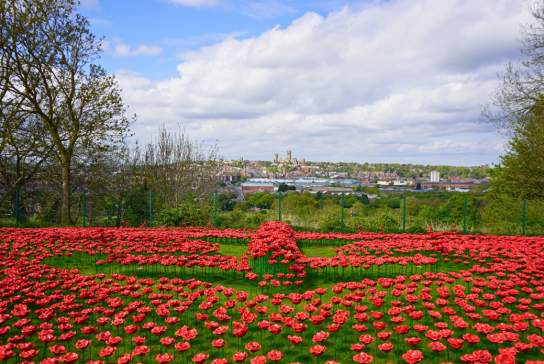 The IBCC Lancaster Poppy Display VE80