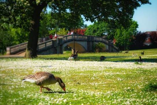 East Park