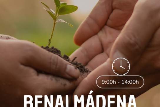 Mercado Ecológico