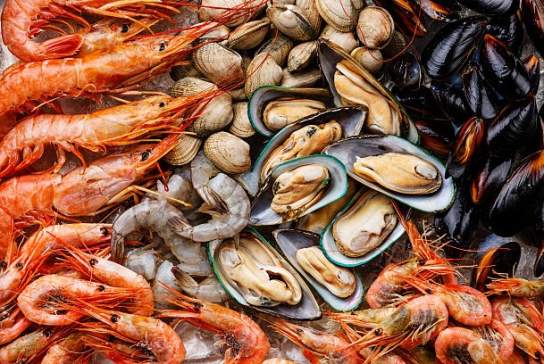 Feria del Marisco y Frutos del Mar