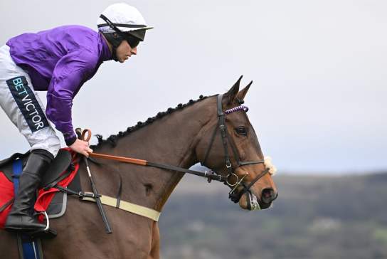 The Christmas Meeting