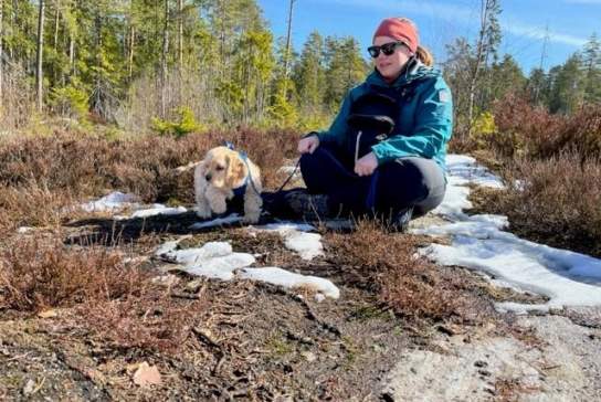 Vandretur: Bjørkebru til lavoen, Skiptvet