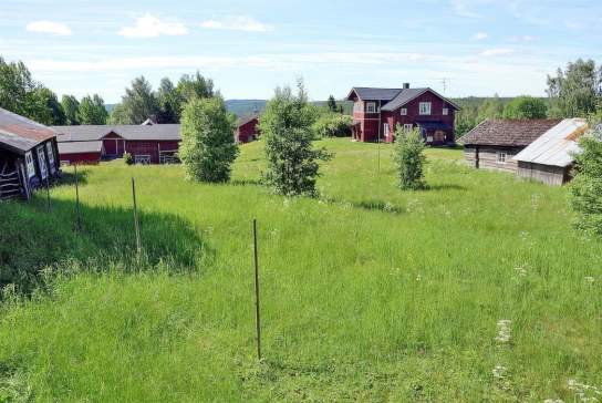 Orala - Norsk Skogfinsk Museum