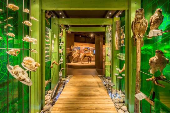 Anno Norsk skogmuseum