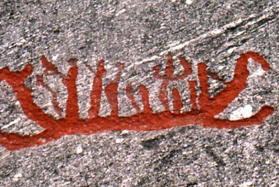 Bjørnstadfeltet
