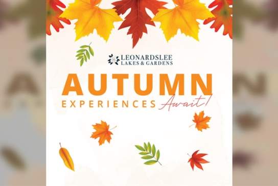 Autumn Workshops at Leonardslee Lakes & Gardens