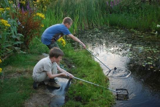 RSPB’s Pagham Harbour
