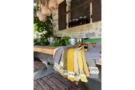 Natural Dye Workshop and Farm-to-Table Lunch