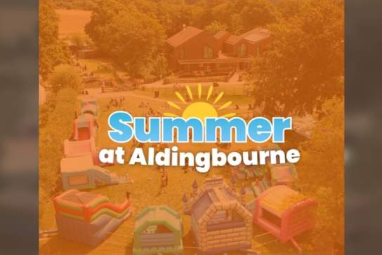 Summer at Aldingbourne