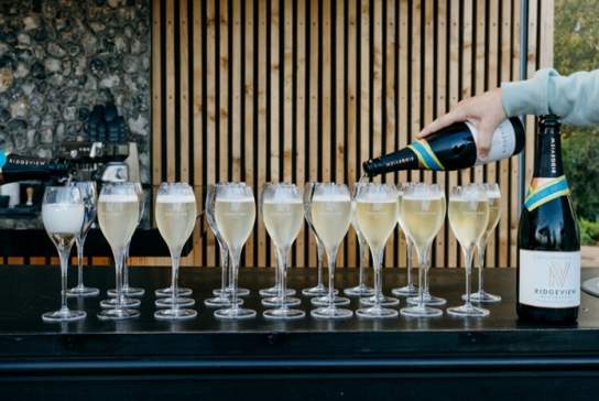 Ridgeview Vineyard Wine Experience