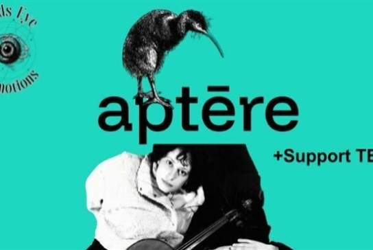 Aptere