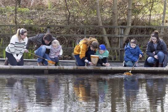 Pond dipping & Bug hunting