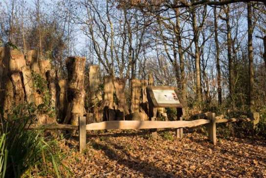 Warnham Local Nature Reserve