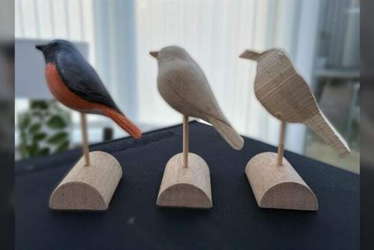 Begin Wood Carving – Redstart