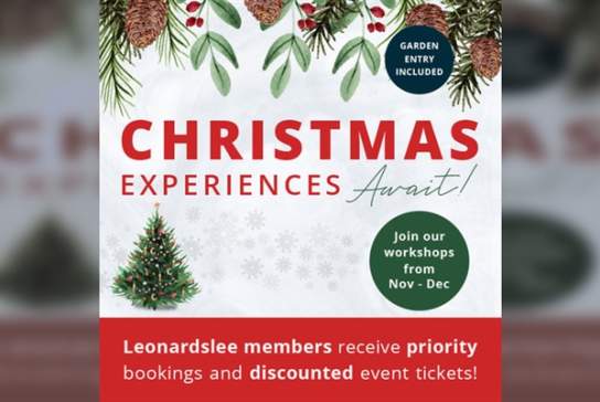 Christmas Workshops at Leonardslee Lakes & Gardens