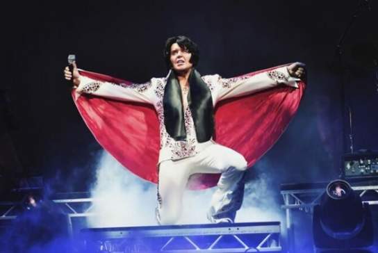 A Vision of Elvis