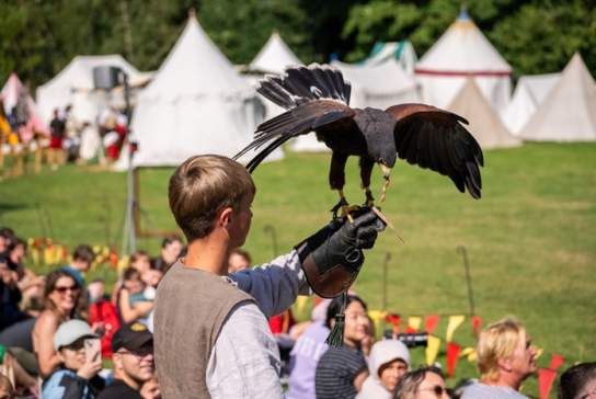 Festival of History