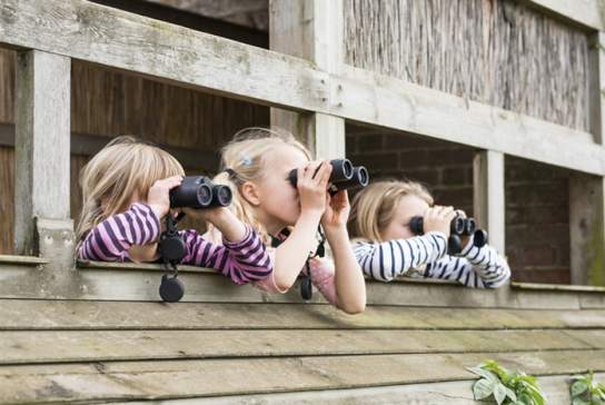 Signs of Spring Treasure Hunt & Crafts!