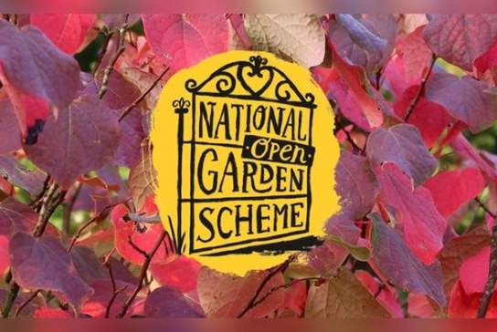 National Garden Scheme Open Day