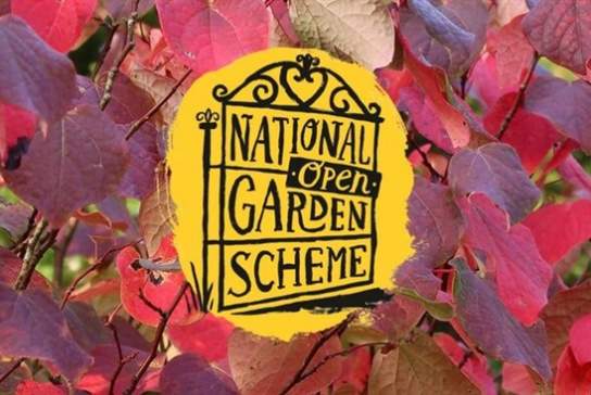 National Garden Scheme Open Day