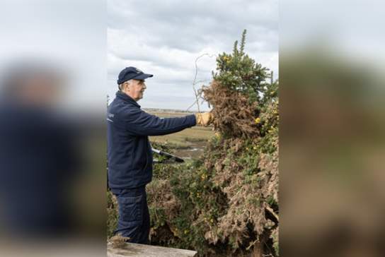 Chichester Harbour Work Party - Fishbourne Meadows