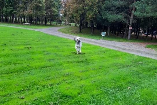 Old farm camp & touring site