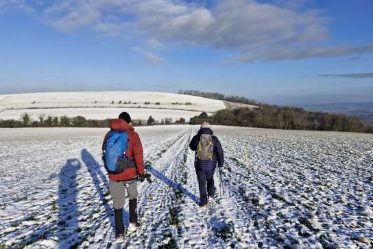 Friends of the South Downs