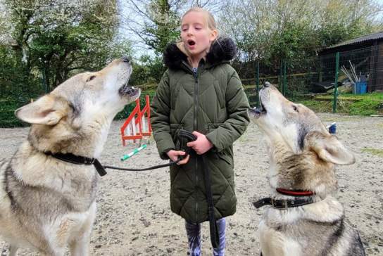 Watermill Wolves