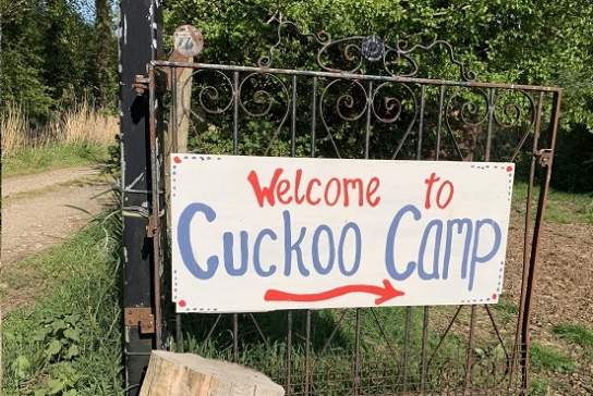 Cuckoo camping