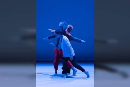 What Dance Can Do