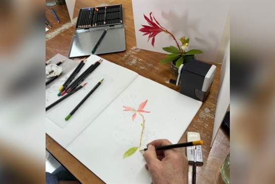 Botanical Illustration Workshop: Autumn