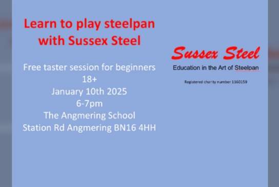 Sussex Steel Steelpan Taster Session - Beginners 18