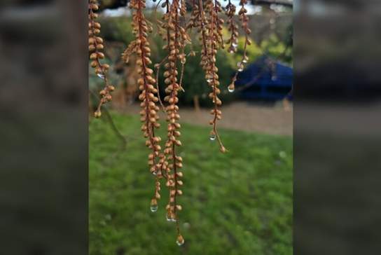 A Nature Connection Experience