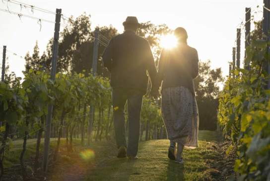 Evening Amongst the Vines at Leonardslee Wine Estate