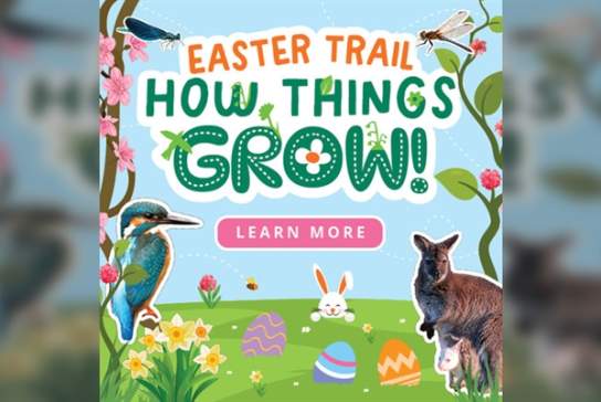 Easter at Leonardslee Lakes & Gardens: Spring Easter Trail: How Things Grow!
