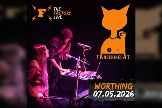 Tangerinecat