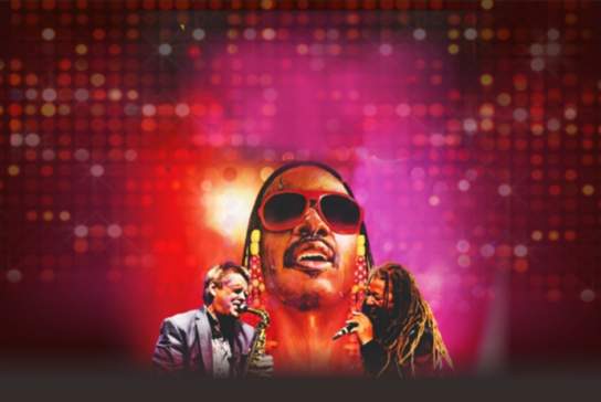 The Wonder of Stevie