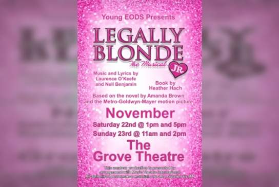 Legally Blonde Jr. The Musical