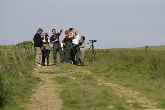 Guided Walk: Wintering Waders and Wildfowl