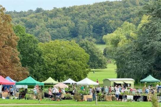West Dean Gardens Autumn Plant Fair