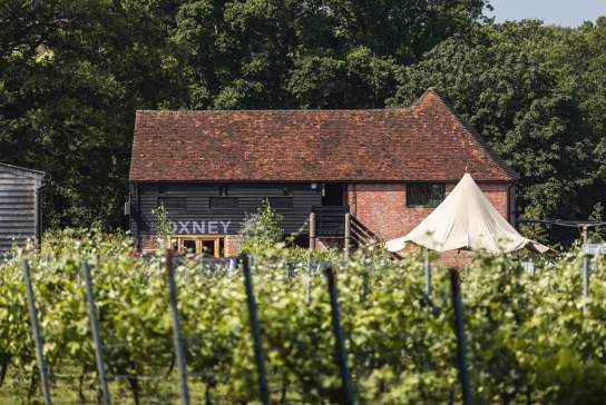 Oxney Organic Estate